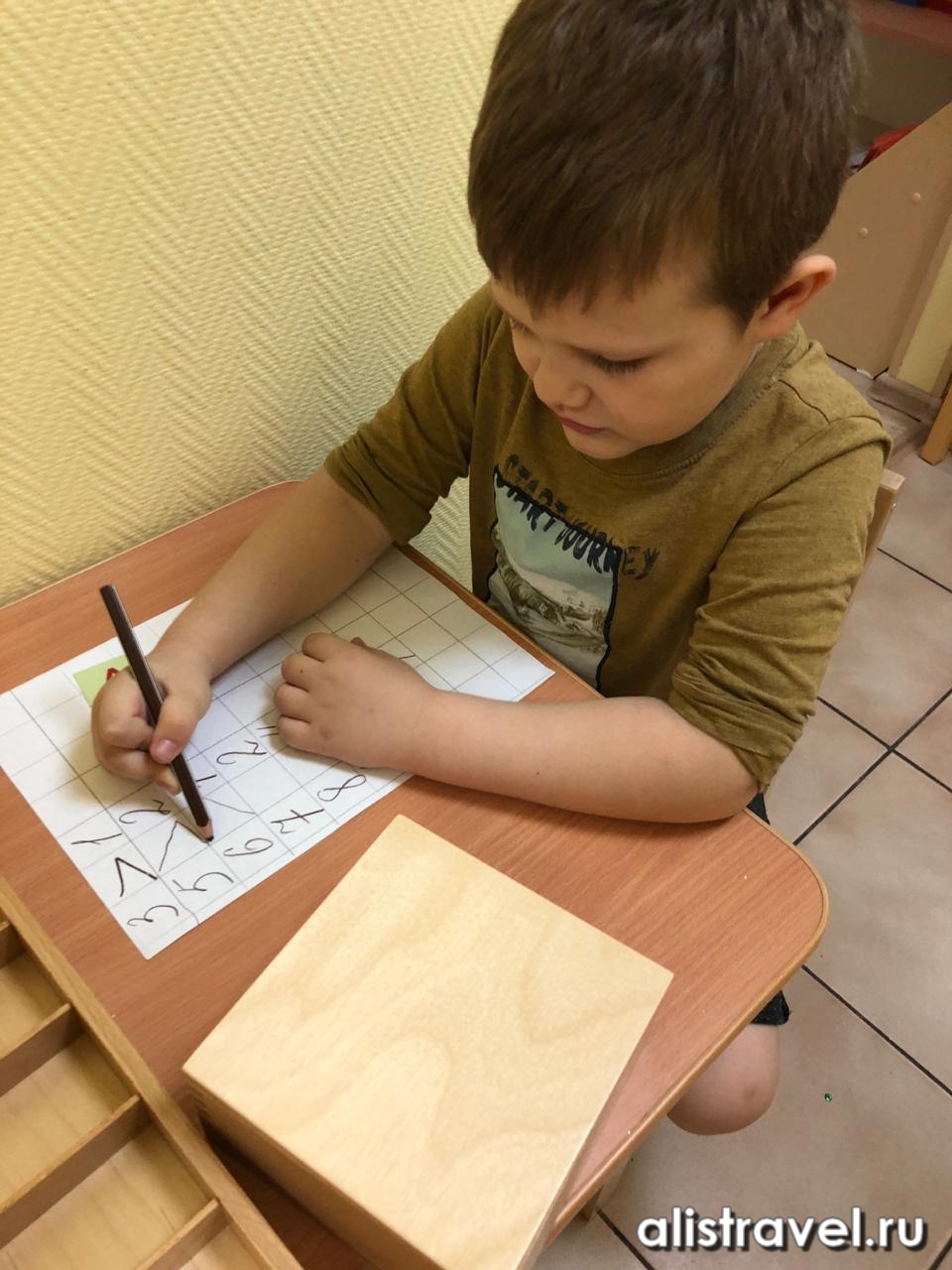 Жизнь после Монтессори-сада: что делать дальше?